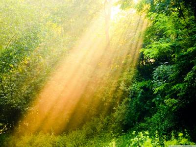 夏雪風2W2MF79D相關圖片