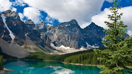 成瑋珍C2SB5TRS相關(guān)圖片