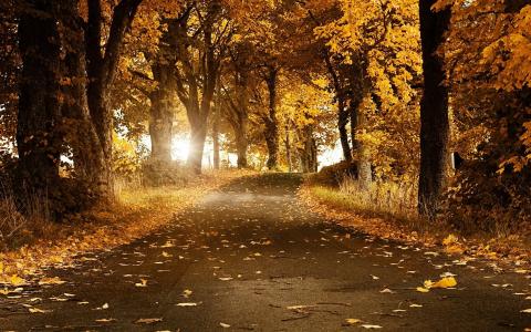 解榮生M3N736JN相關(guān)圖片