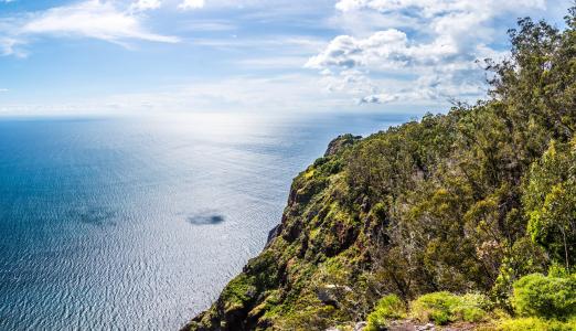 湯智浩PTE4M87L相關圖片