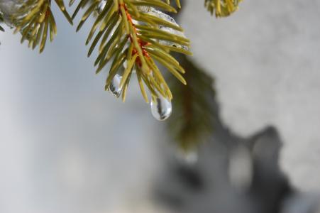 潘綠凡WI91KNEE相關圖片 潘綠凡WI91KNEE相關圖片