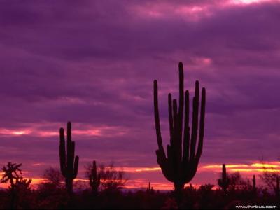 阮君毅B0JEZJQ5相關圖片