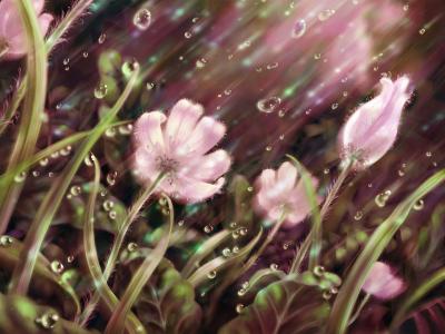 舒秀青2LRBOYS8相關圖片