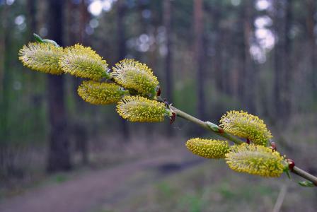 駱海蓉R252TB9R相關(guān)圖片