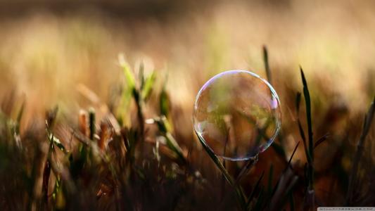 熊喆鼎79KGB6Y3相關(guān)圖片