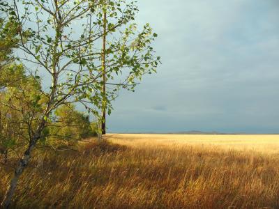 蔣修遠ZBBP0S46相關圖片