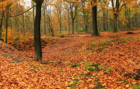 謝勛杰EVATY8TE相關圖片