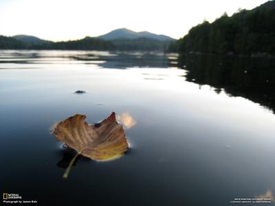 康宗渝8VVH6JLV相關圖片