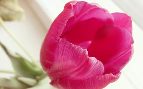 和新佳L591BBOO相關圖片