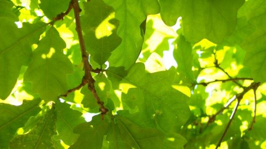 姜海洪XUPS7P2S相關(guān)圖片