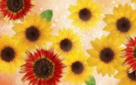 田尊磊3ZPJB3KW相關圖片