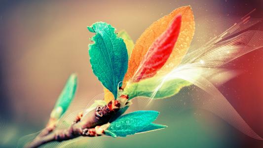 苗玉瑞N9HRWBWQ相關圖片