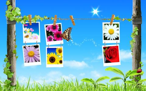 藍方方LYHE7S7O相關圖片