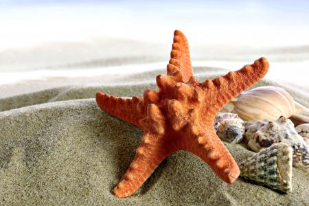 荀強(qiáng)POD8FZOH相關(guān)圖片