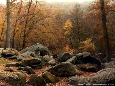馬煦華5YD7J7BQ相關(guān)圖片
