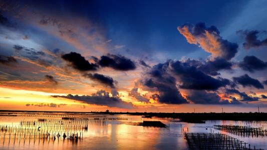 阮亞軍288AJ9WH相關圖片