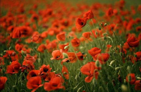 虞建靜9MMGH1PR相關圖片