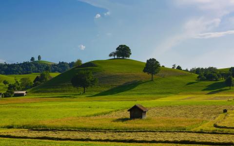 薛仲凱NRYIZFOP相關圖片
