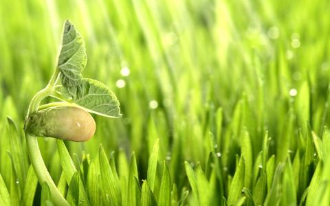 繆敏鋼K1R6LXOH相關圖片