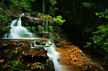 唐世渭BVRCFMGT相關圖片