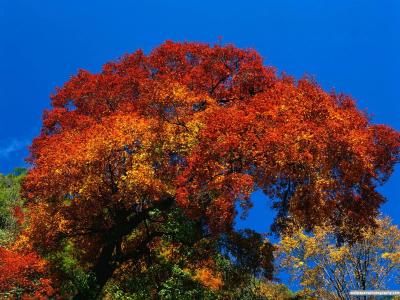 荀廣梁ZRYFBYIB相關圖片