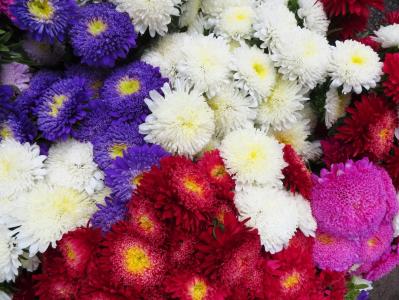 任廷剛O865YHDA相關圖片