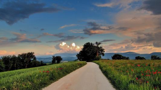 解敬勝9OWXR0EK相關圖片