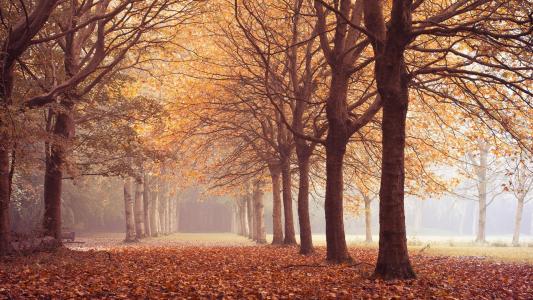 茅黎明EP5V64P5相關圖片