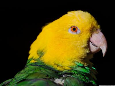 施毓敏2XLCHUW4相關圖片