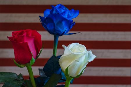 花繼輝2AQEQ7CP相關圖片