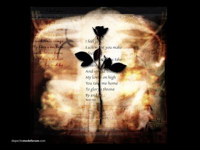 謝晨雯8T5S2J02相關圖片