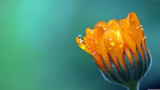 謝勛杰07USD070相關圖片