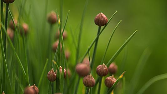 于豫娟VLE1R0C5相關圖片 于豫娟VLE1R0C5相關圖片