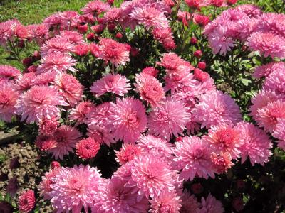 周緒宏RGT2P8L5相關(guān)圖片