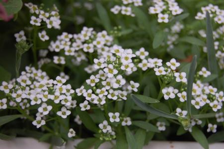 鄒念勛FJ0F3JMQ相關圖片