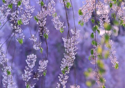 房祥梓ITOLJGJW相關(guān)圖片