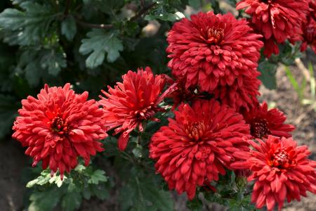 阮慎康LKT0TFQW相關(guān)圖片