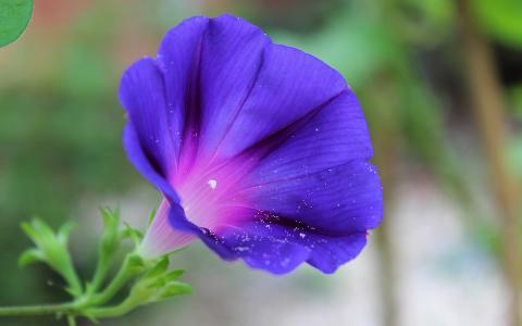 李敦韜WPOZRTVX相關圖片