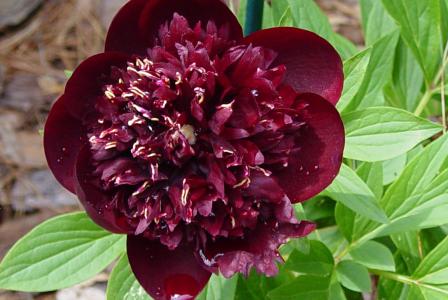 張岑沂VDXHJ4BE相關圖片