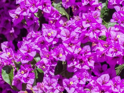 鄭兆欽IXC5K1N7相關圖片