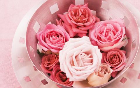 舒旺南E6AZ71OK相關(guān)圖片