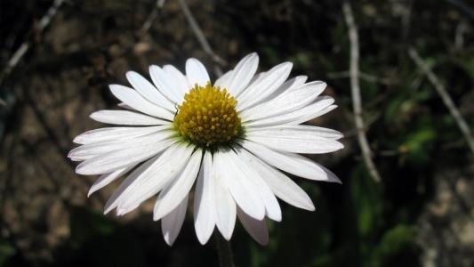 孔賀峰COKBQDHG相關(guān)圖片