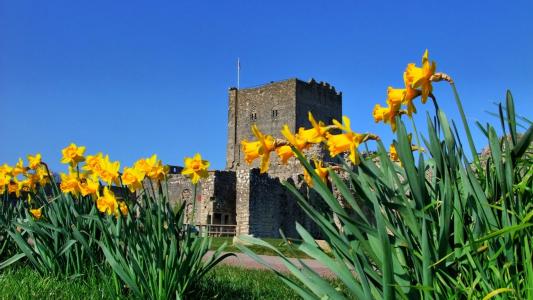 顧寶圣IXLUJPQM相關(guān)圖片