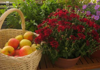 高阿劍VSQ9YQM9相關圖片