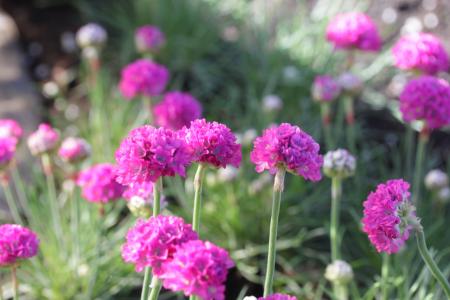 柳耀峰B832ILFE相關圖片