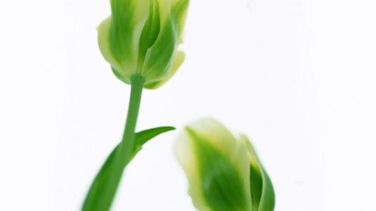 席海榮1TVIS4A6相關圖片