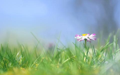 安勤來R71XG4OE相關圖片 安勤來R71XG4OE相關圖片