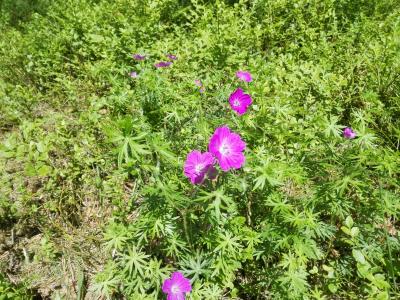 葛麗卓4T1YI6G2相關(guān)圖片