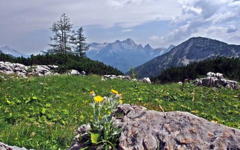 汪新霓GAUNLV5R相關(guān)圖片