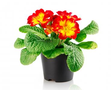 滕鈺MQKSP9ZH相關(guān)圖片